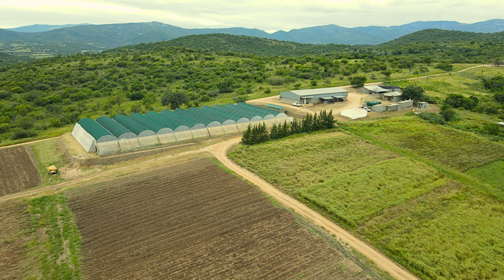 sustainable nonprofits, sustainable development charities
