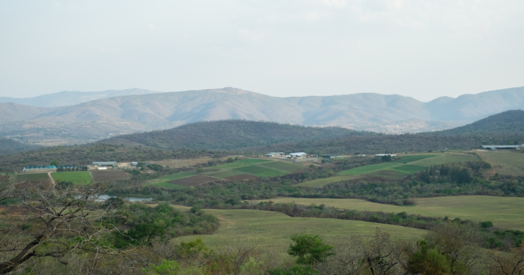 What Real Nonprofit Sustainability Looks Like in Practice