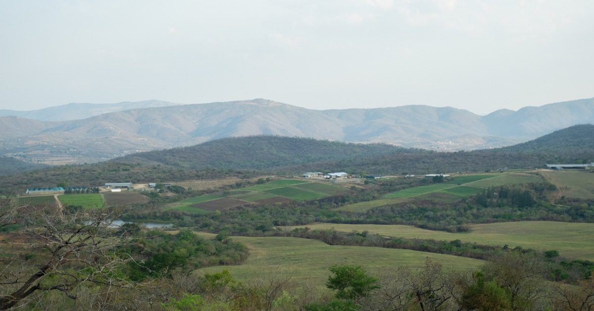 What Real Nonprofit Sustainability Looks Like in Practice
