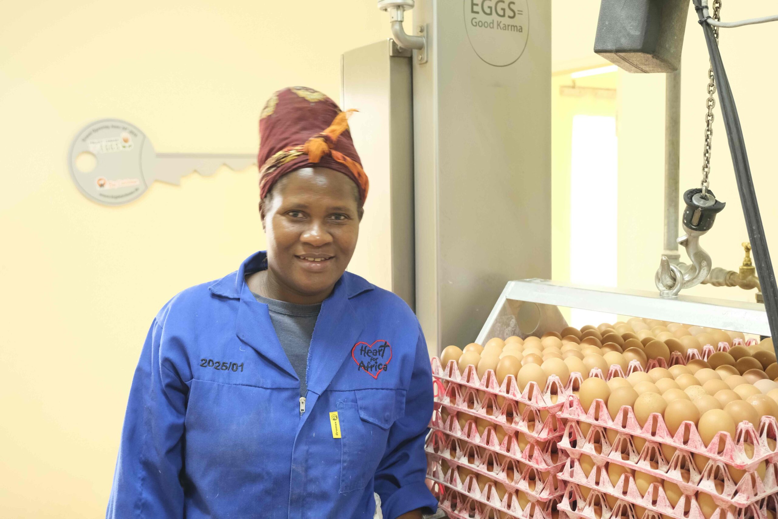does employment reduce poverty